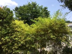 Turf Club Road (D11), Detached #470862761